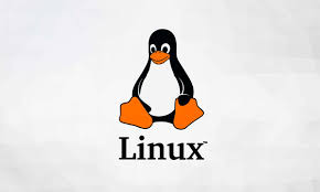 imagen pinguino de linux